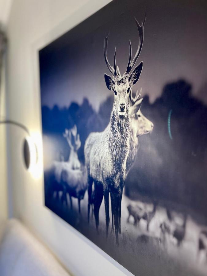 Wohlbfinden2 Appartementhaus Braunlage Kültér fotó