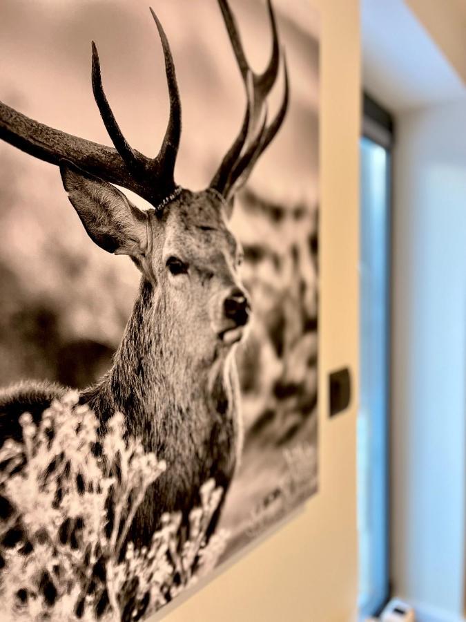 Wohlbfinden2 Appartementhaus Braunlage Kültér fotó